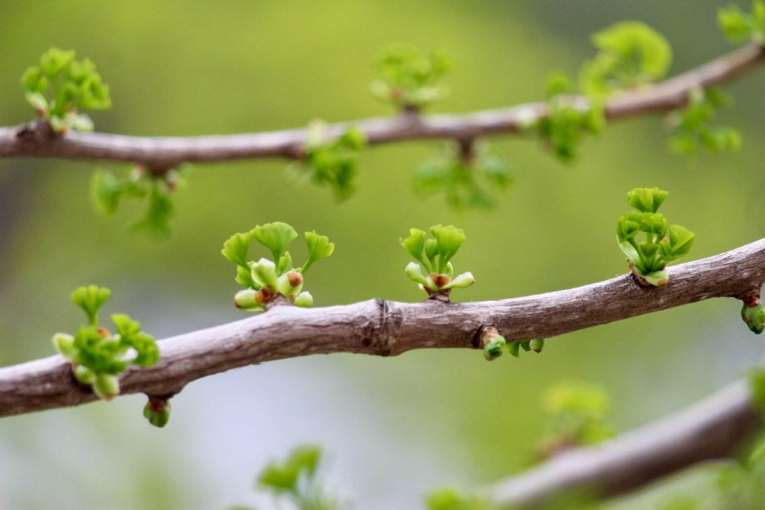 To Find Growth Marketing Success, It’s Important to Fail Fast and Often