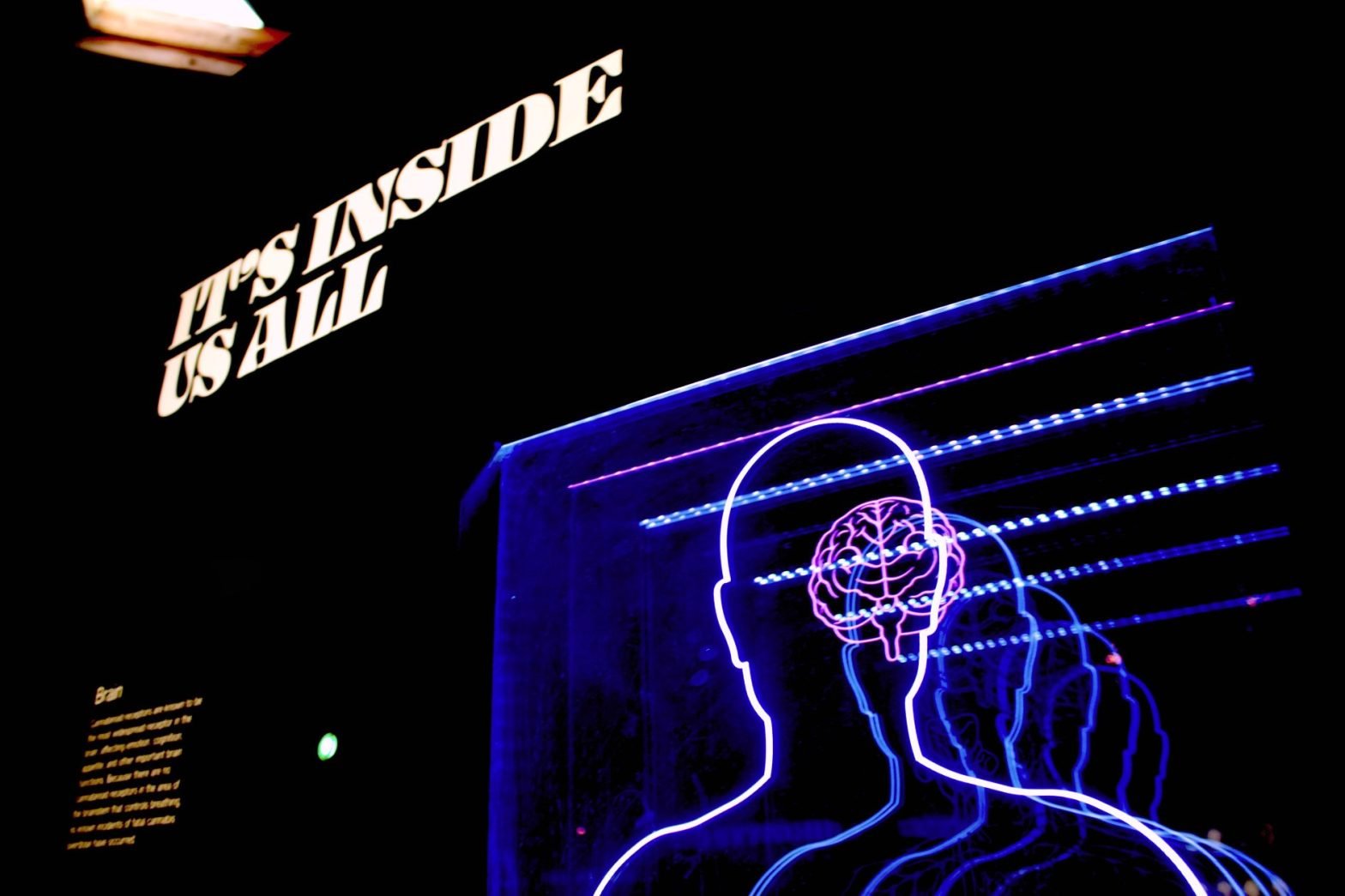 Leveraging Behavioural Psychology for Growth Marketing